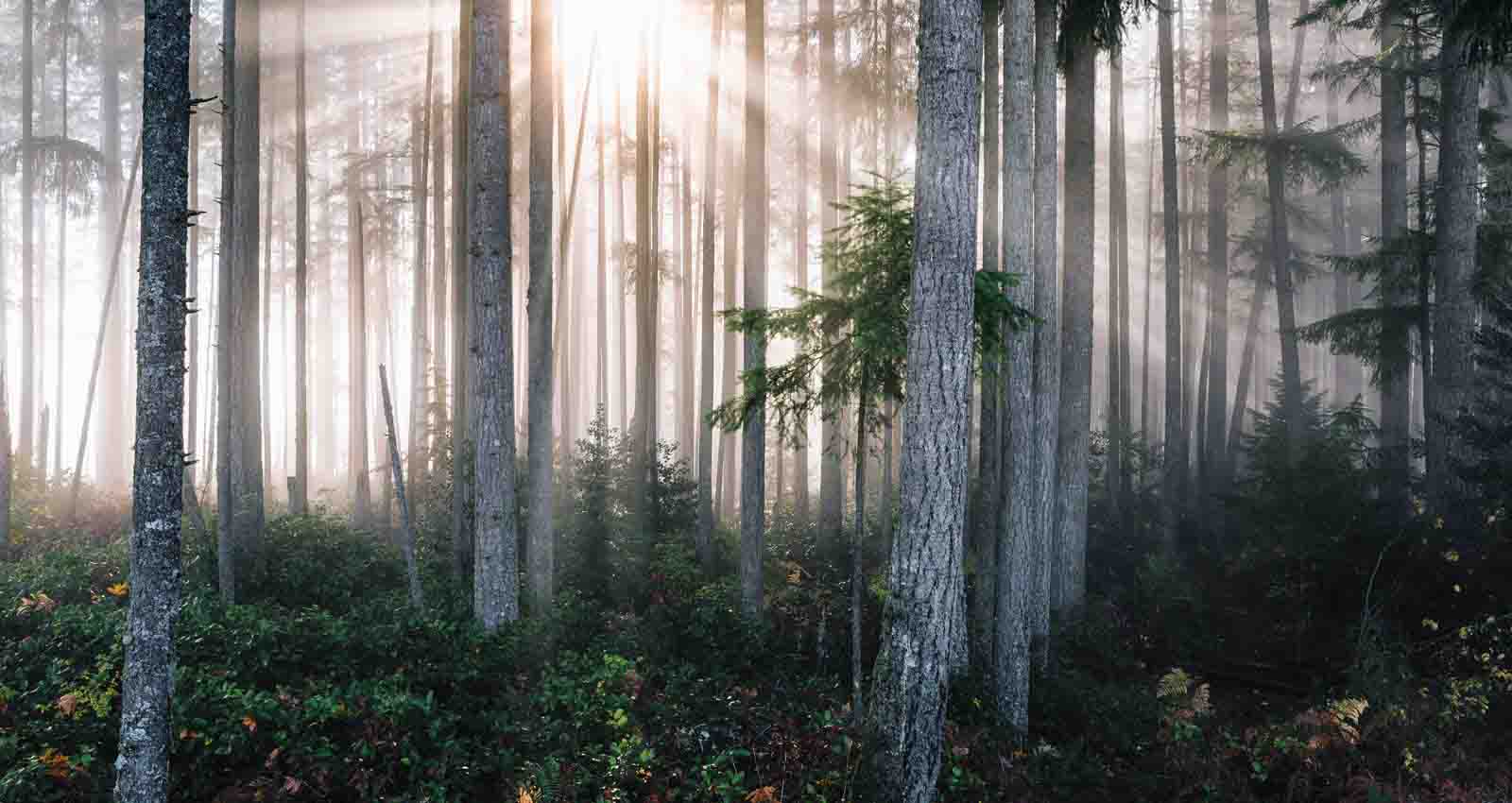 Om oss – Begravningsbyrån Fredrika & Co i Jönköping